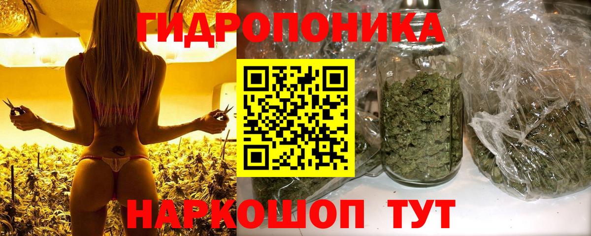 Бошки Шишки конопля Городец